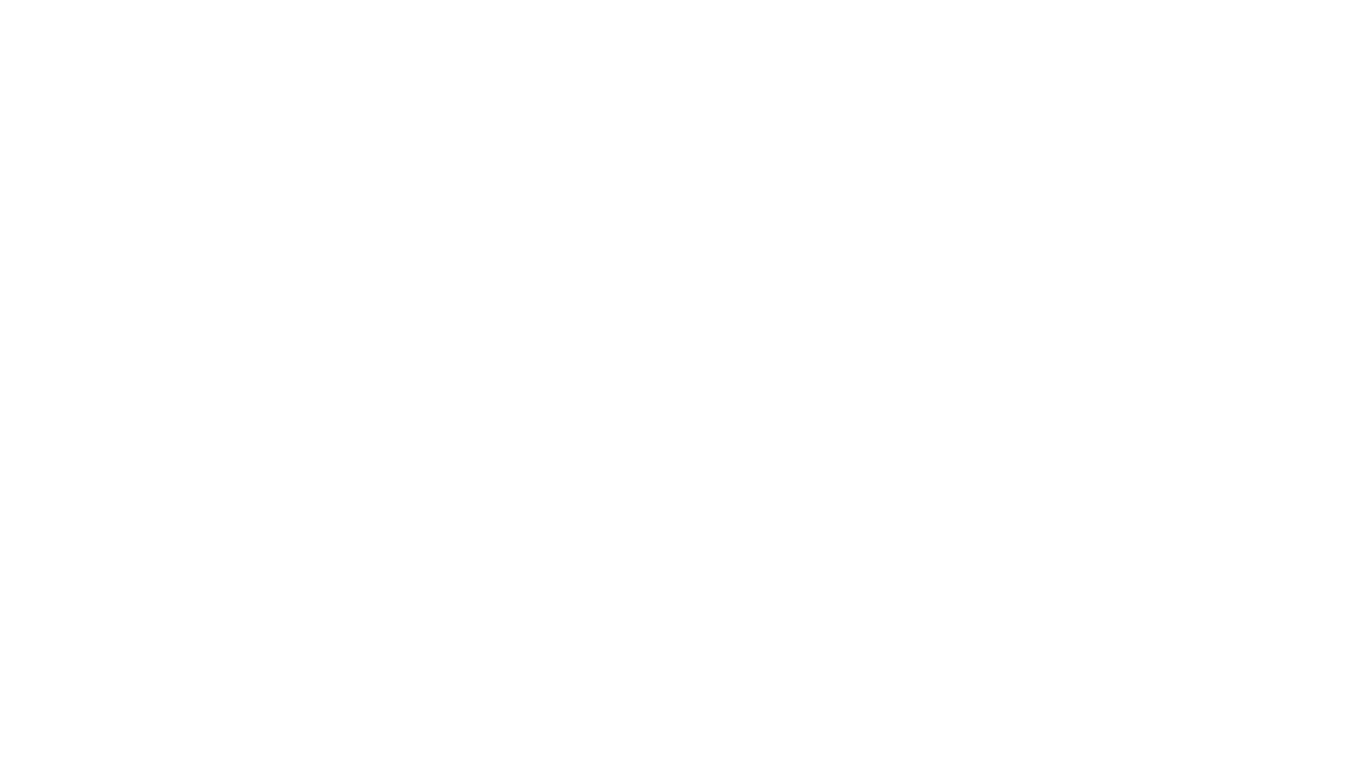 logo 2 branca e inteira